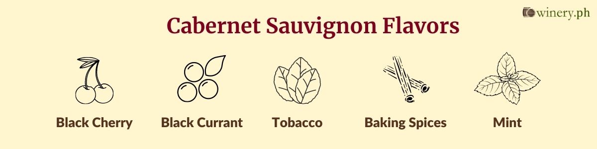 cabernet sauvignon flavor profile