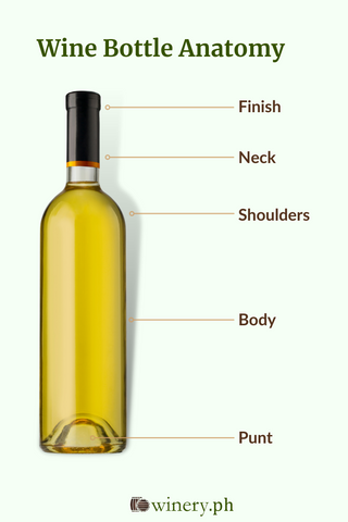 wine bottle anatomy infographic