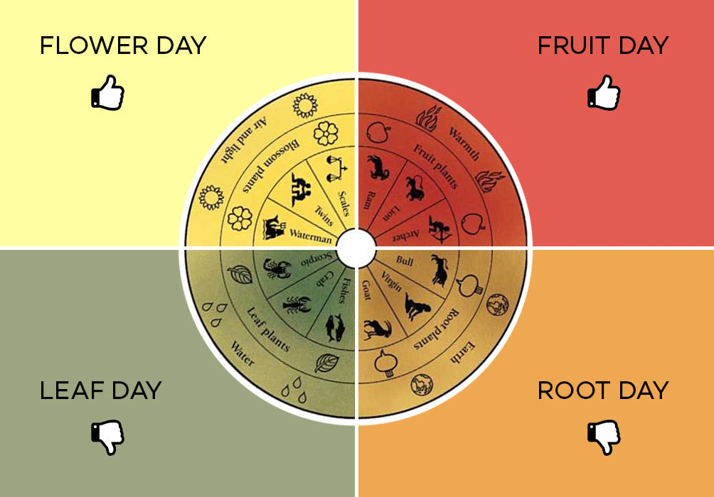 biodynamic  calendar