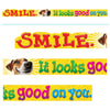 Smile. It looks good on you. ARGUS® Banner – 10 Feet
