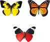 Bold Butterflies