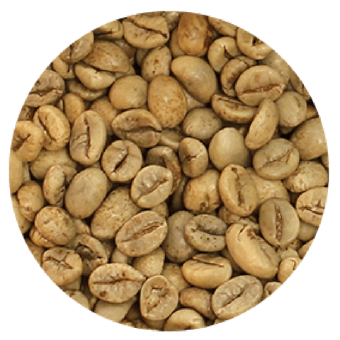 Organic Green Coffee Beans