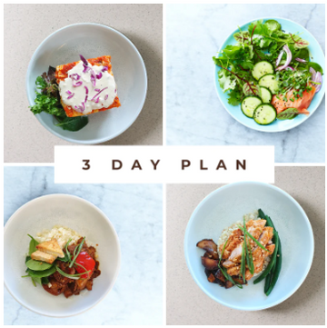 3 DAY MEAL PLAN