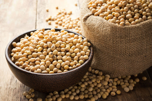 soy-beans-royalty-free-image-514247479-1558547736.jpg__PID:255fdd0d-da48-4961-b2ce-f904e4eefe65