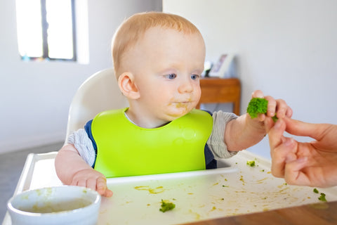 1-year-old eating schedule