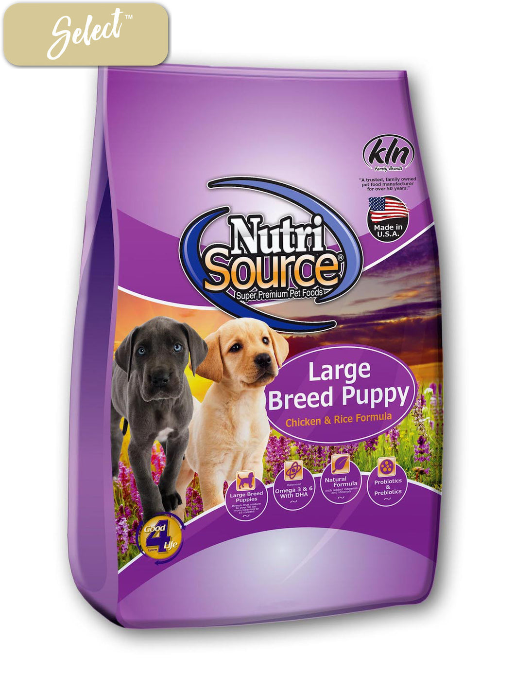 large dog puppy food