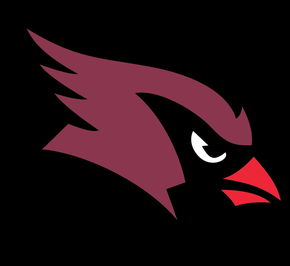 Arizona Cardinals | Sportz For Less