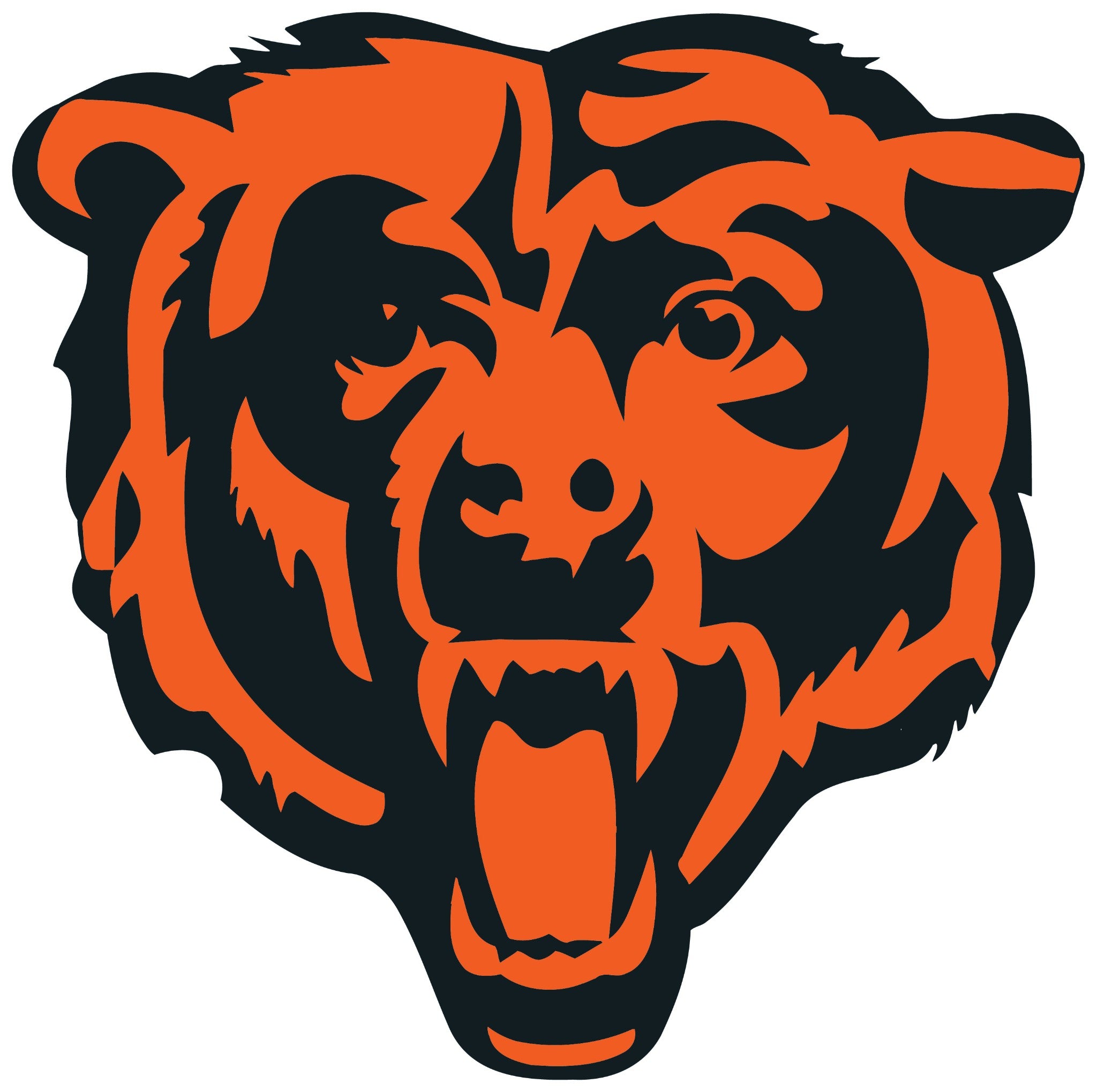 bear logo