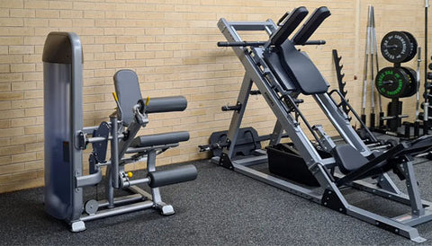 A school gym showcasing state-of-the-art equipment.