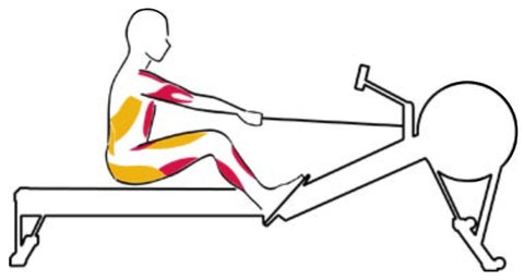 The Recovery Rowing Exercise 