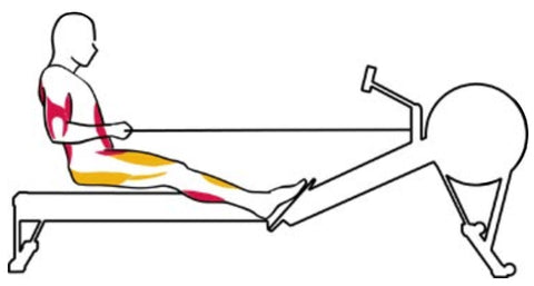 The Finish Rowing Exercise 