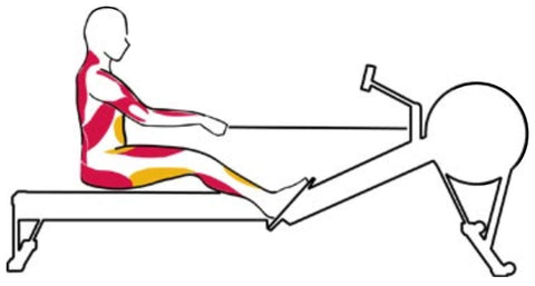 The Drive Rowing Exercise 