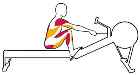 The Catch Rowing Exercise 