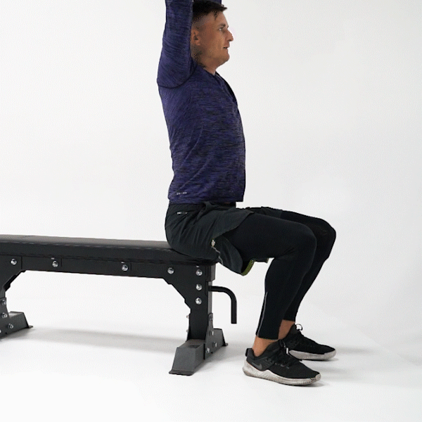 Seated Overhead Press Exercise 