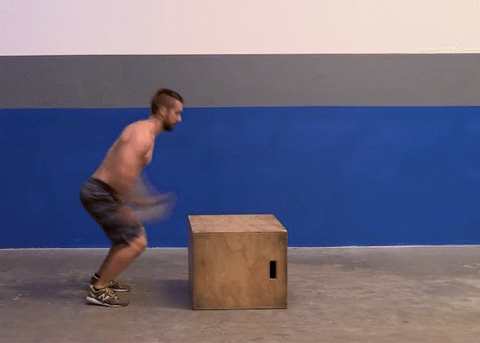 Front Box Jump Exercise using a Plyometric Box