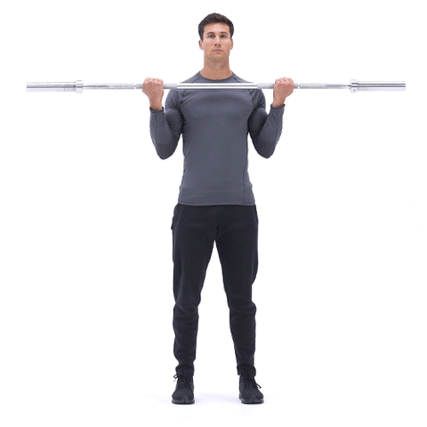 Barbell Curls Exercise 