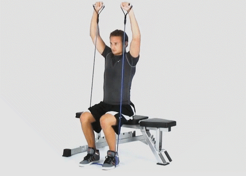 Resistance Band Seated Shoulder Press Exercise 