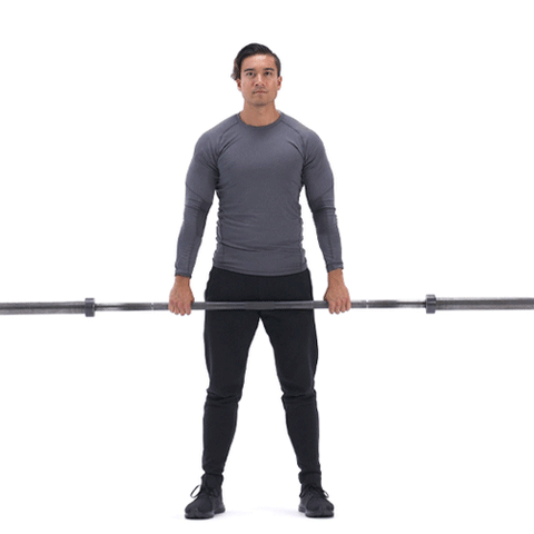 All You Need Is A Barbell – A Whole Body Workout