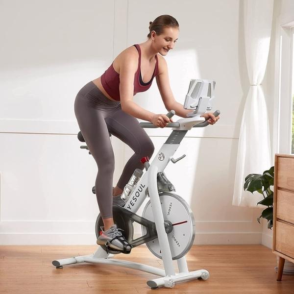 Top 8 Exercise Bikes For At Home Workouts Gym and Fitness NZ