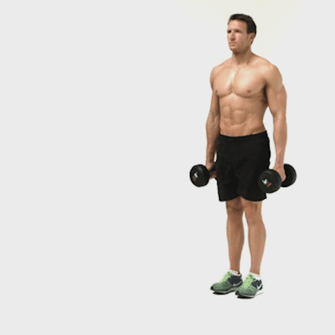 Dumbbell Lunges Exercise 