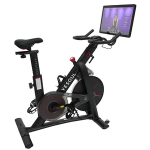 programmable exercise bike