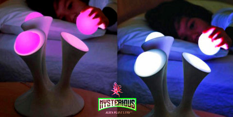 Mysterious Alien Plant Lamp 5