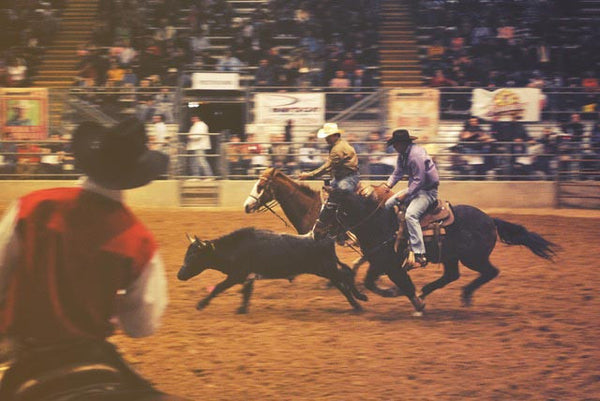 Cowboys in a rodeo show