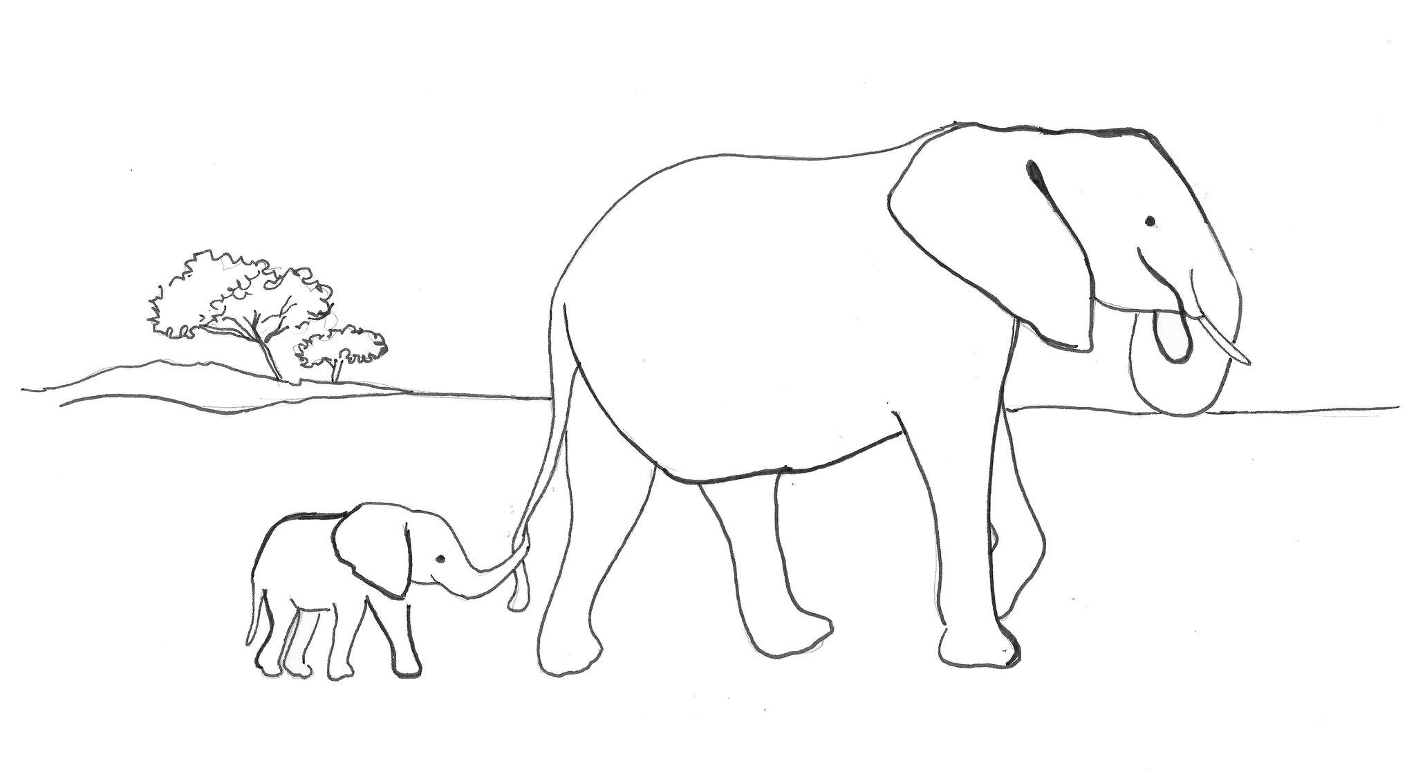 Featured image of post Elephant Drawing Images