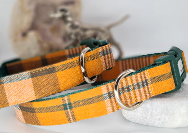 Burberry colours check ribbon Collars & Leads – Top Dog Collars &  Accessories