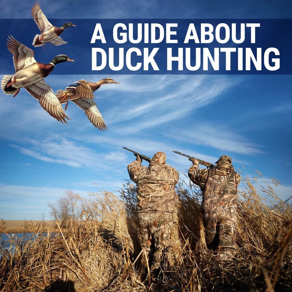 a-guide-about-duck-hunting-lelex-shop