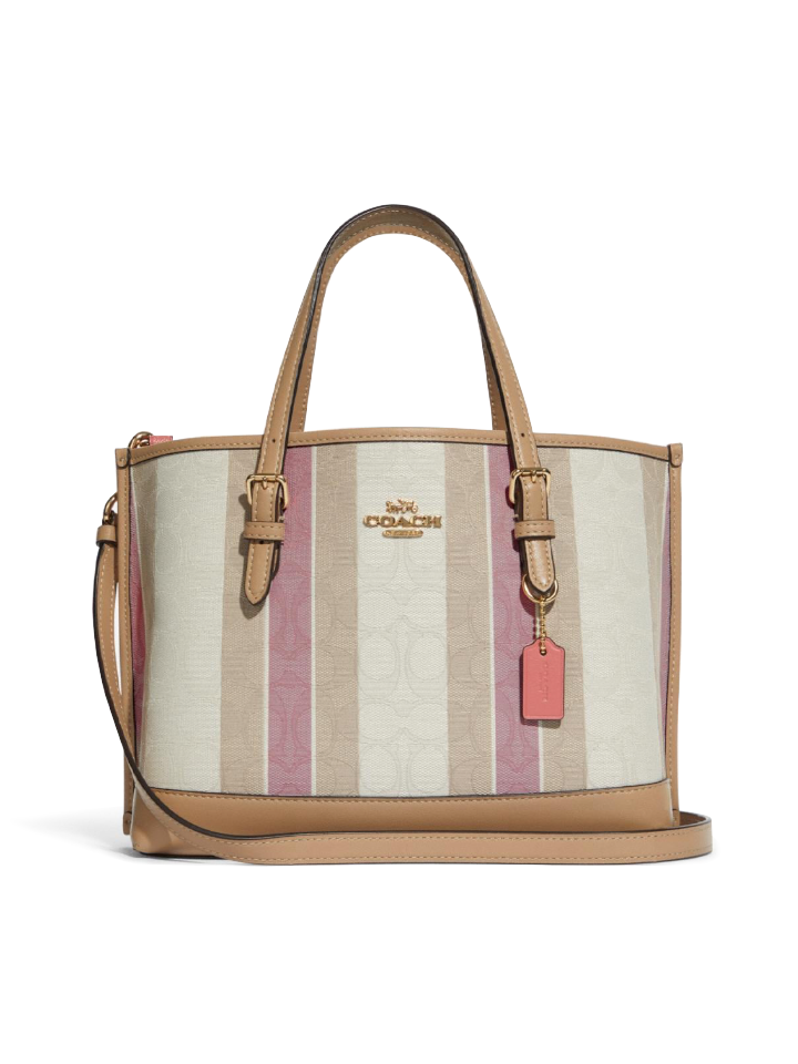 coach mollie tote mini