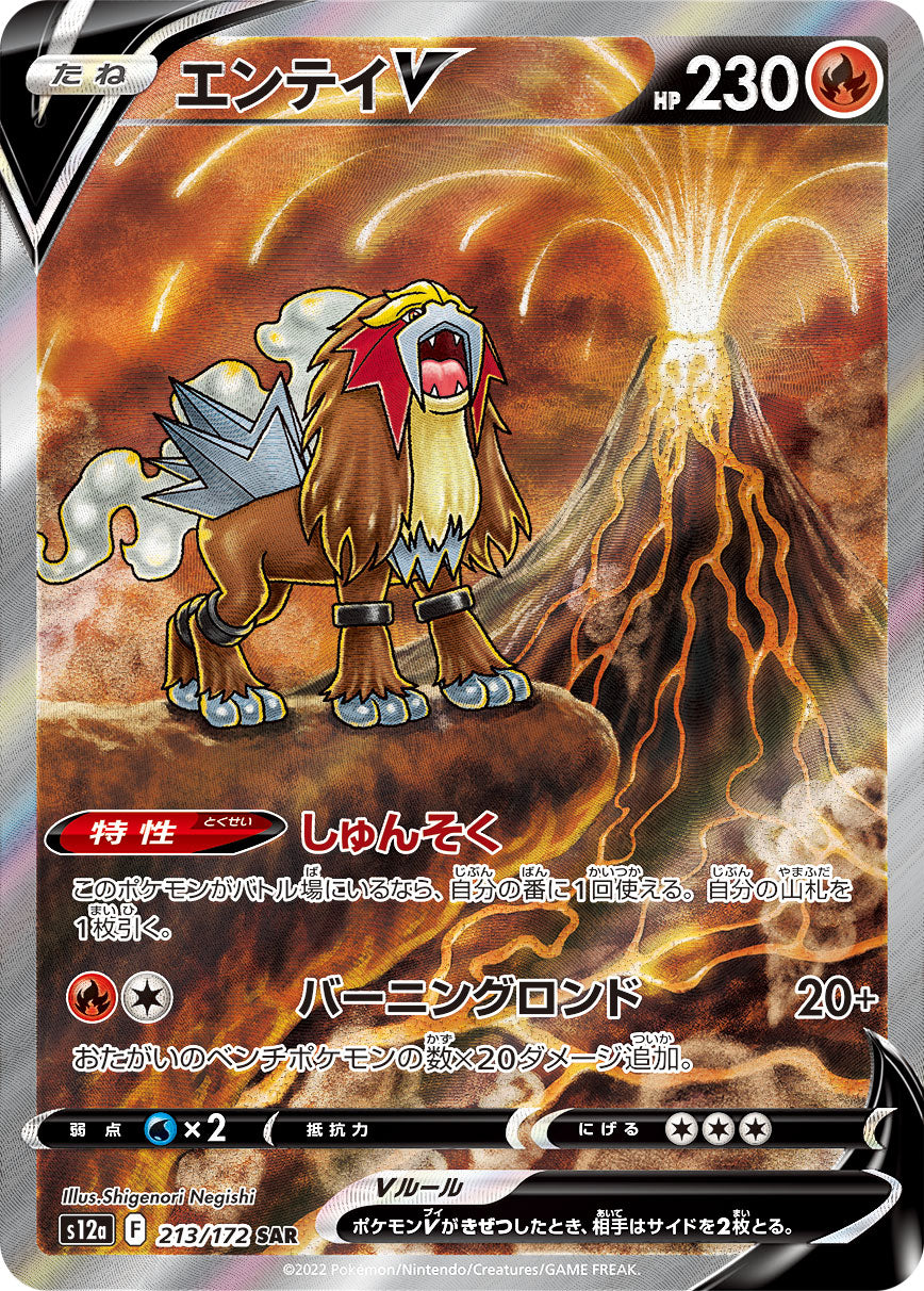 Raikou V SAR 218/172 VSTAR Universe Nintendo Special Art/JAPANESE Pokemon  Card