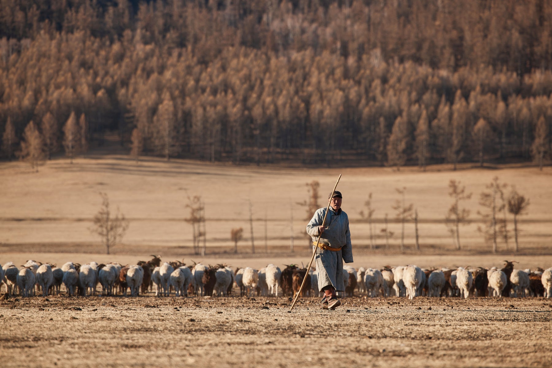 Nomads in mongolia