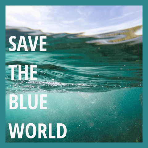 Save the blue world blog on ocean conservation pollution save environment clean under water sea