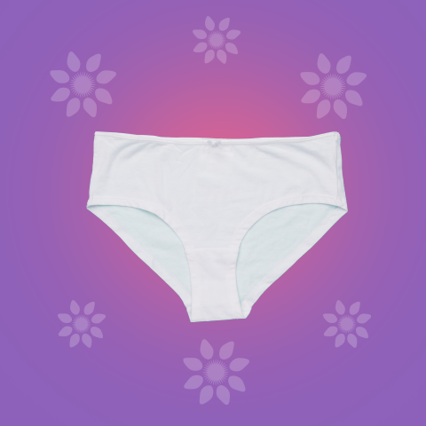 Period Panty