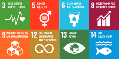 UN SDGs saathi version