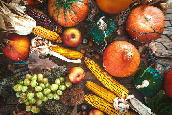 Fall Harvest Veggies