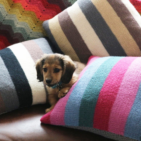 Striped cushion kits available from The Knitter's Yarn
