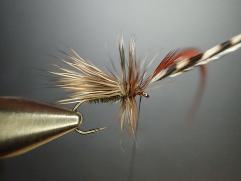 Peacock Caddis by Nicole March – Dette Flies