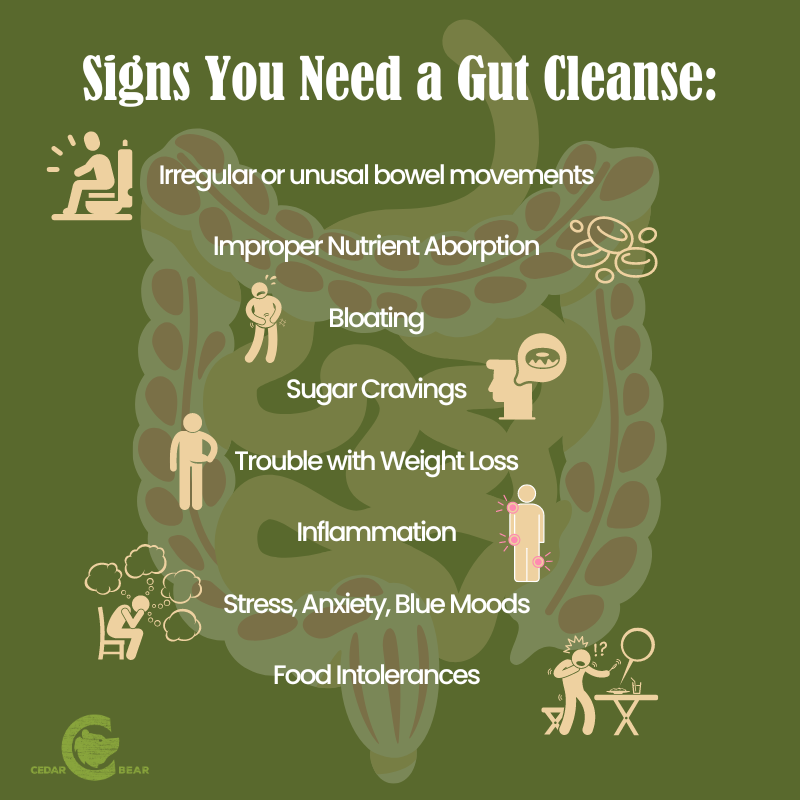 infographic on the signs you need a gut cleanse including bloating, inflammation, food intolerances, stress, and sugar cravings