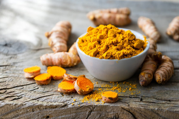 turmeric herb