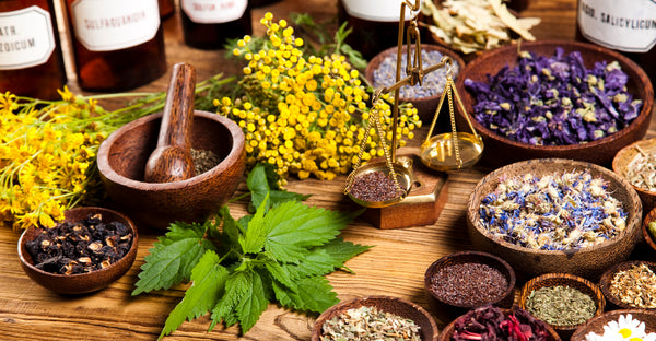 group of different ph balancing herbs in bowls