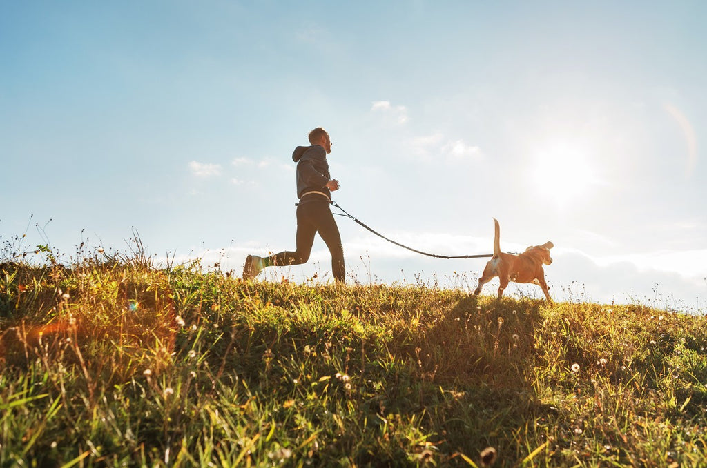 man-and-dog-running