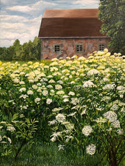 Norm's Farms Elderflower Field