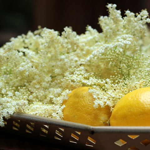 Elderflowers and a whole lemon