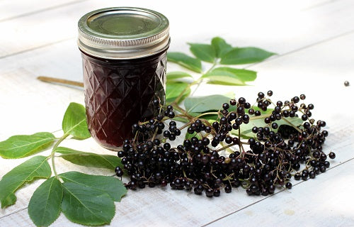 How to Make Homemade Elderberry Syrup