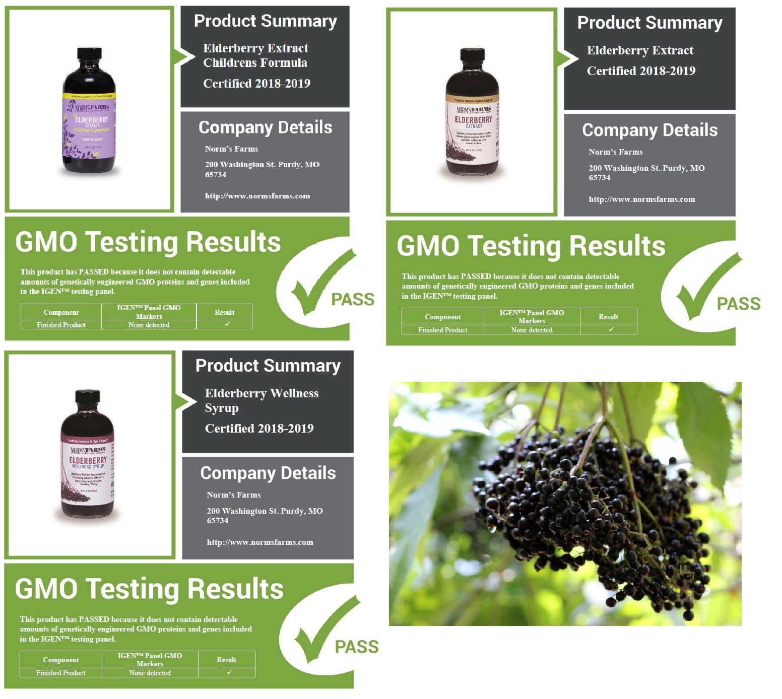 Norms Farms GMO free test results