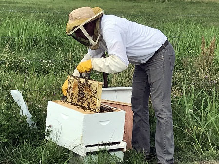 Elderberry, Andrew and His Bees