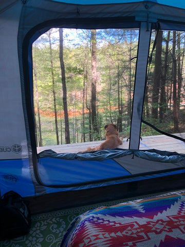 View from our tent at the Lake James Camp