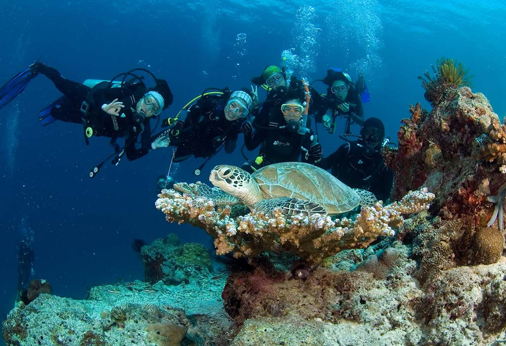 Barracuda Point, Sipadan Island, Malaysia